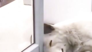 Приколи 495