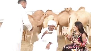 A Camels Vengeance