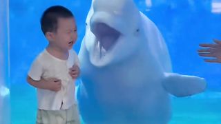Funny video