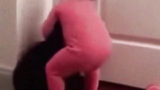 Приколы с животными и детьми , веселые собаки и кошки