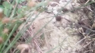 Animal lovers