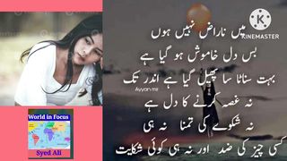 Mei Naraz Nahi Hoon.#World in focus #SyedAli