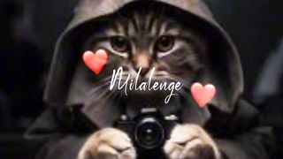 #capcut#meme#min trending template #capcut #wheneverwherever #cute #cats#cutecats#catslover#LovelycatP #cat