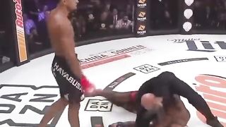 Best knockouts ever in MMA