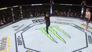 TOP 5 FASTEST FINISHES in UFC HISTOR