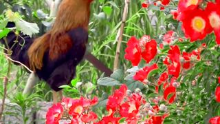 #wow #views #fyp #tiktok #reels #amazing #cute #beautiful #animals #viral #trending