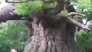 Natural video 103