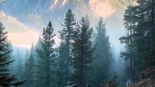 Здесь он чувствует себя как во властелине колец ????????????‍♀️