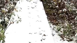 First snow in Yakutia