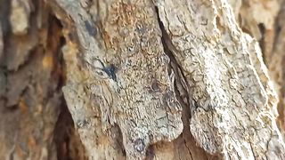 Beautiful View Of Nature | Nature Video | Beautiful Relaxing Video | #nature #febspot
