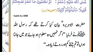 اسلامی معلومات 485