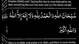 اسلامی معلومات 491