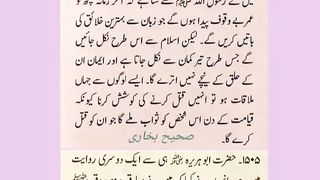 اسلامی معلومات 489