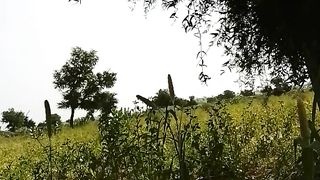 Village ka mosam and green peppers