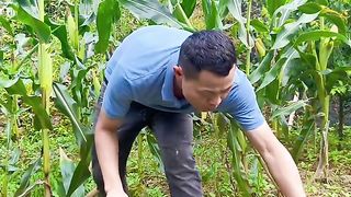 Funny video 2023 50