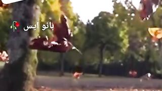 Nice poetry 17