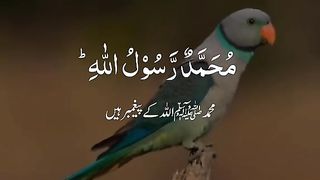 Al quran 10