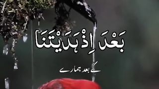 Beautiful Quran 11