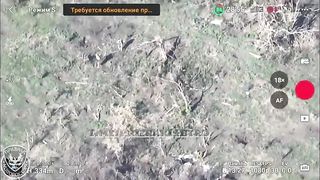 Ukraine Russia War | Russian Artillery Targets Ukrainian Soldiers | RCF