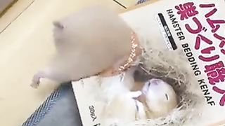 Hamster that couldn't stand it