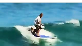 Amazing. 2
