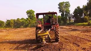 Cricket video 11