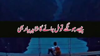 Pesy hon gaye