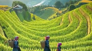 Natural video 108