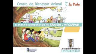 A cuidar a cuidar los perros y los gatos