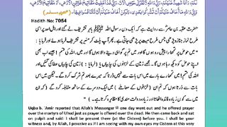 اسلامی معلومات 497