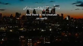 Bashek ALLAh is greatest