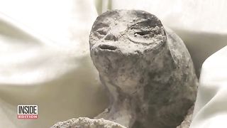 Did_NASA_Find_Evidence_of_Extraterrestrial_Life.