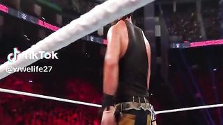 WWE реслинг 406