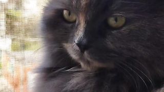 Соня поймала Вайб