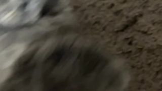 соняяяяя ау