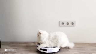 Животные Роботы, Которых Изобрели в Этом Году.