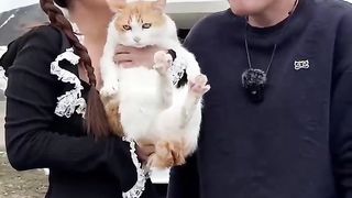 Звуки на китайском языке