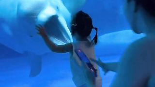 Funny videos 430