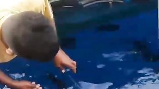 Good fish 2