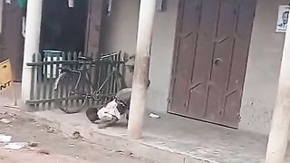 see this brother