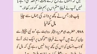 اسلامی معلومات 502