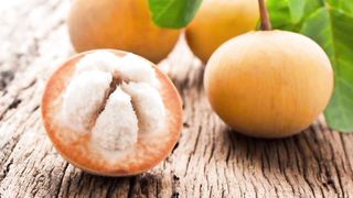 Buah Kecapi
