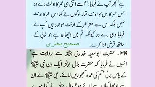 اسلامی معلومات 503
