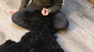 Adopted Child Tells Foster Dog About Being Adopted
