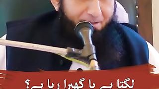 Tariq jameel 81