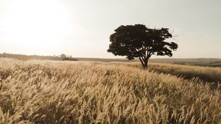 Nature 151