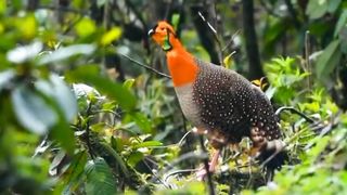 Nature World | Amazing Scenery | Natural Beauty | Calm and Relax | 8K Video