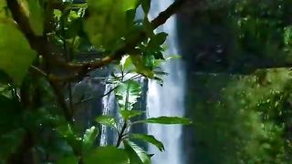 Natural video 109
