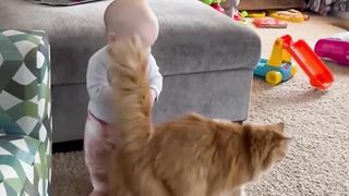 Adorable Fluffy Cat Helps Baby Take First Steps!! @funny #funny
