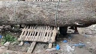 Cara sederhana tapi nyata hasilnya